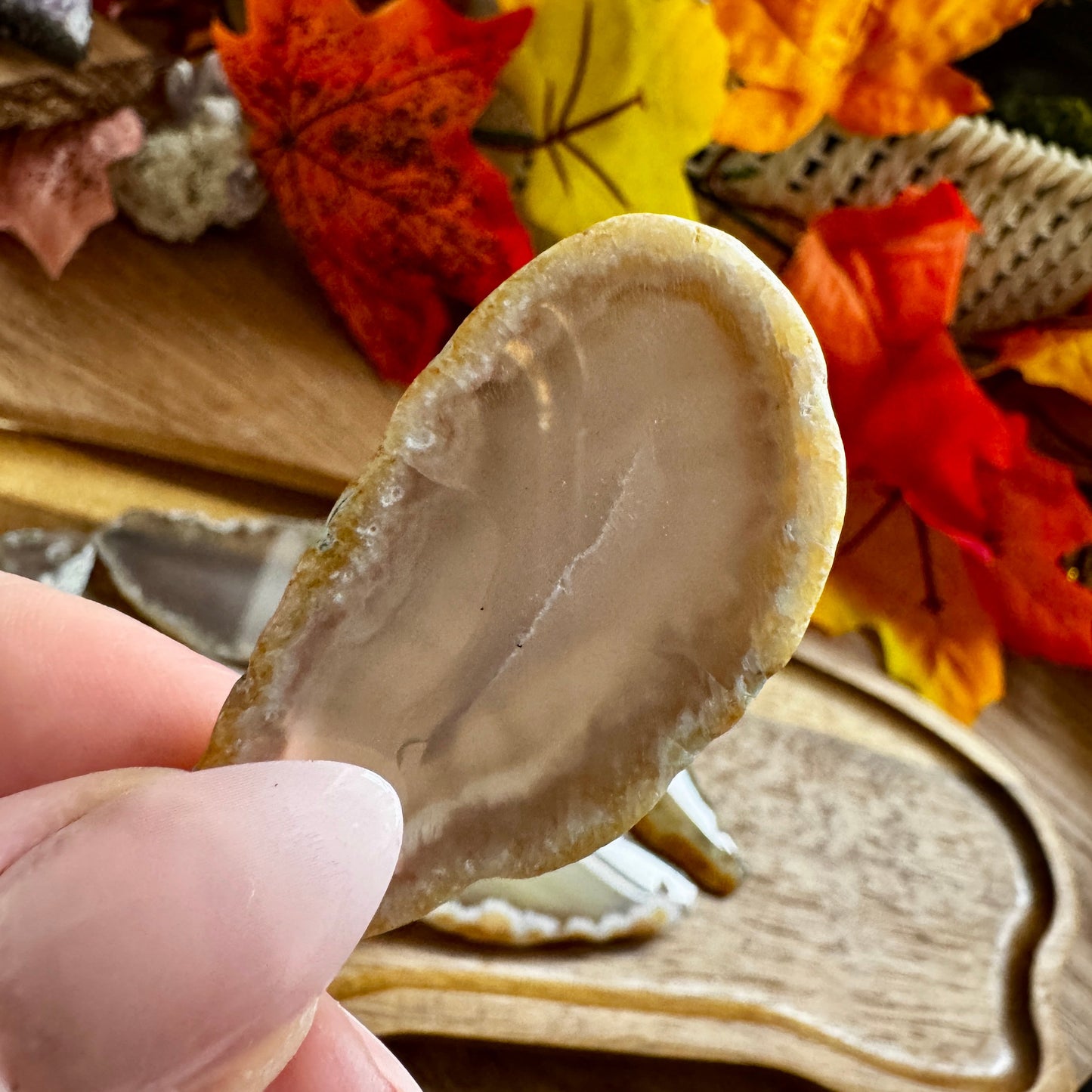 Natural Agate Slice (Drilled Hole)
