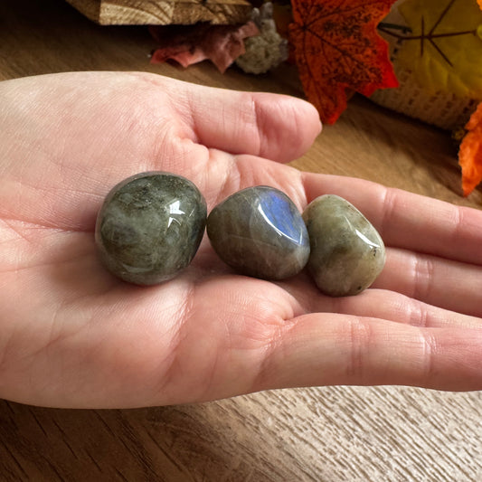 Labradorite Tumblestone 20-30mm