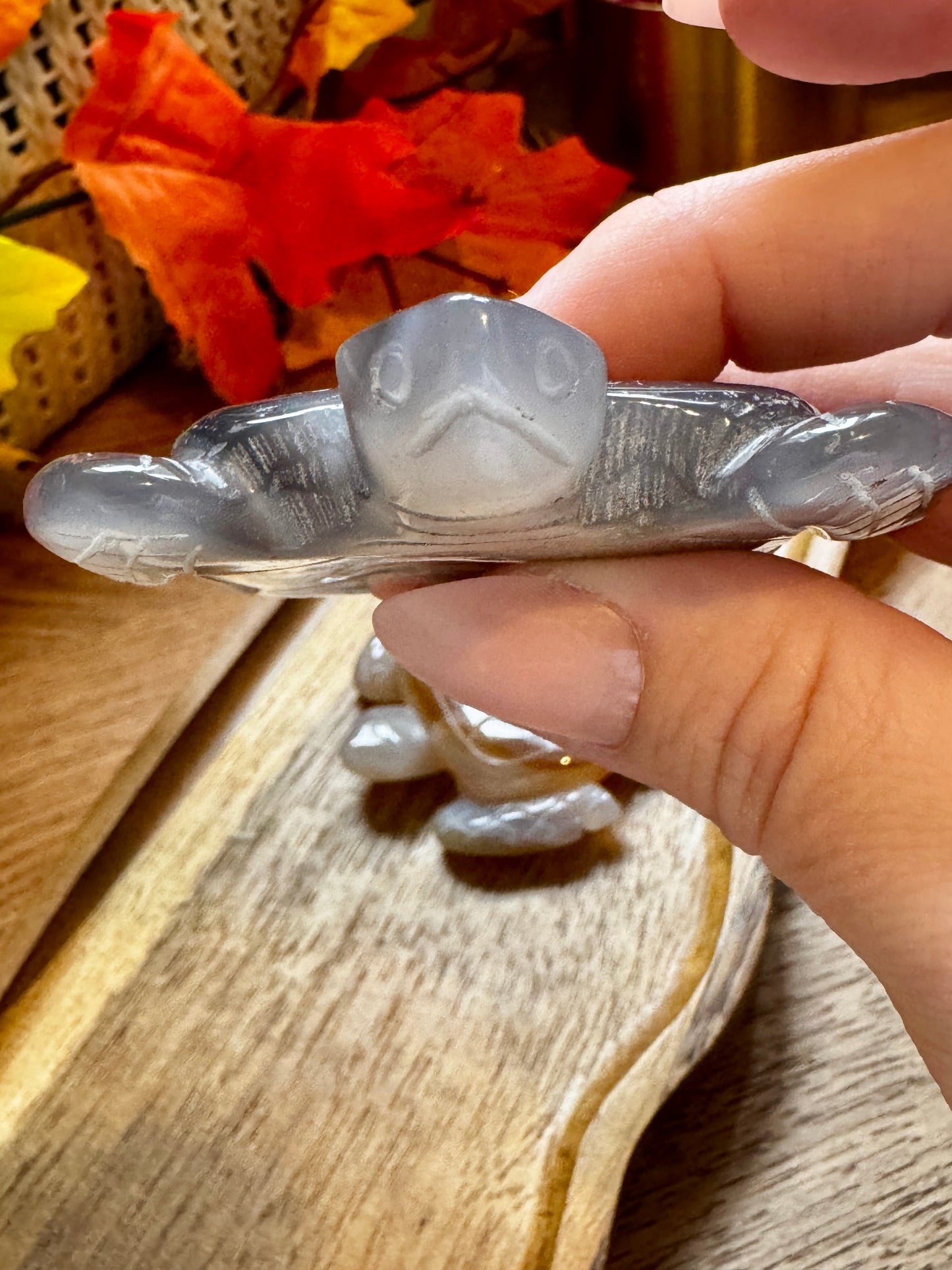 Druzy Agate Turtle Carving