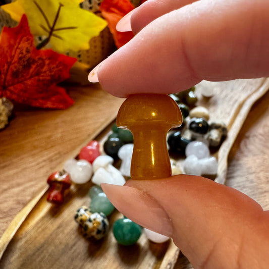 Mini Crystal Mushrooms