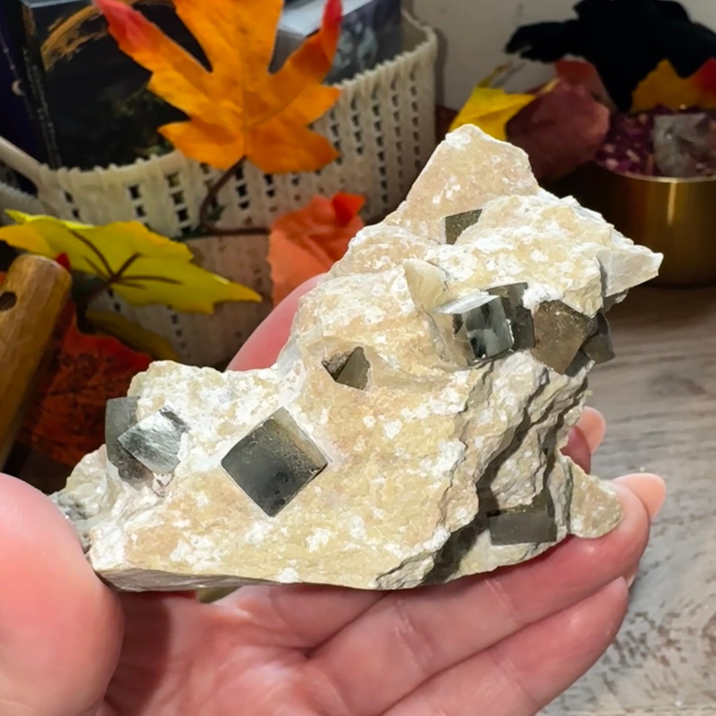 Cubic Pyrite in Matrix