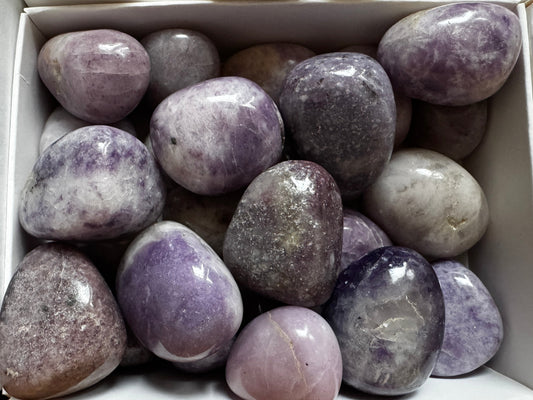 Lepidolite Tumblestone 20-30mm