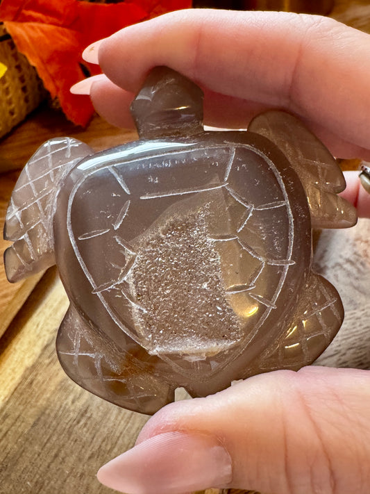 Druzy Agate Turtle Carving