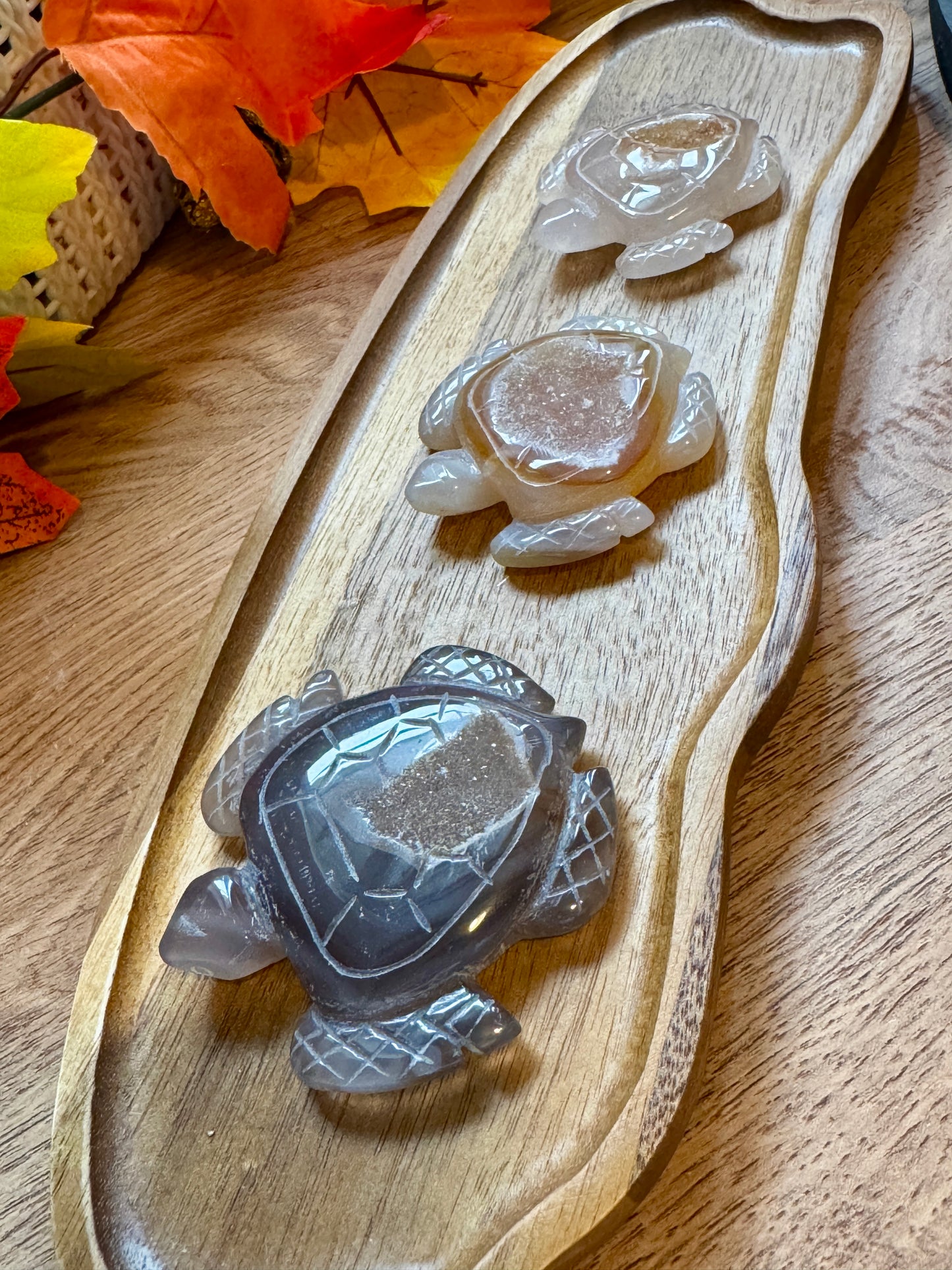 Druzy Agate Turtle Carving