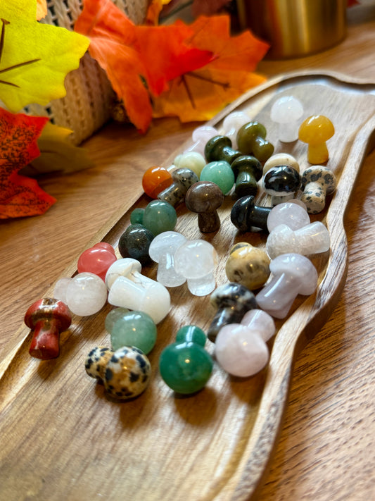 Mini Crystal Mushrooms