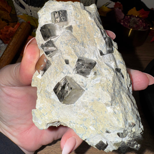 Cubic Pyrite in Matrix