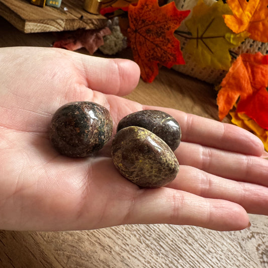 Leopardskin Jasper Tumblestone  20-30mm