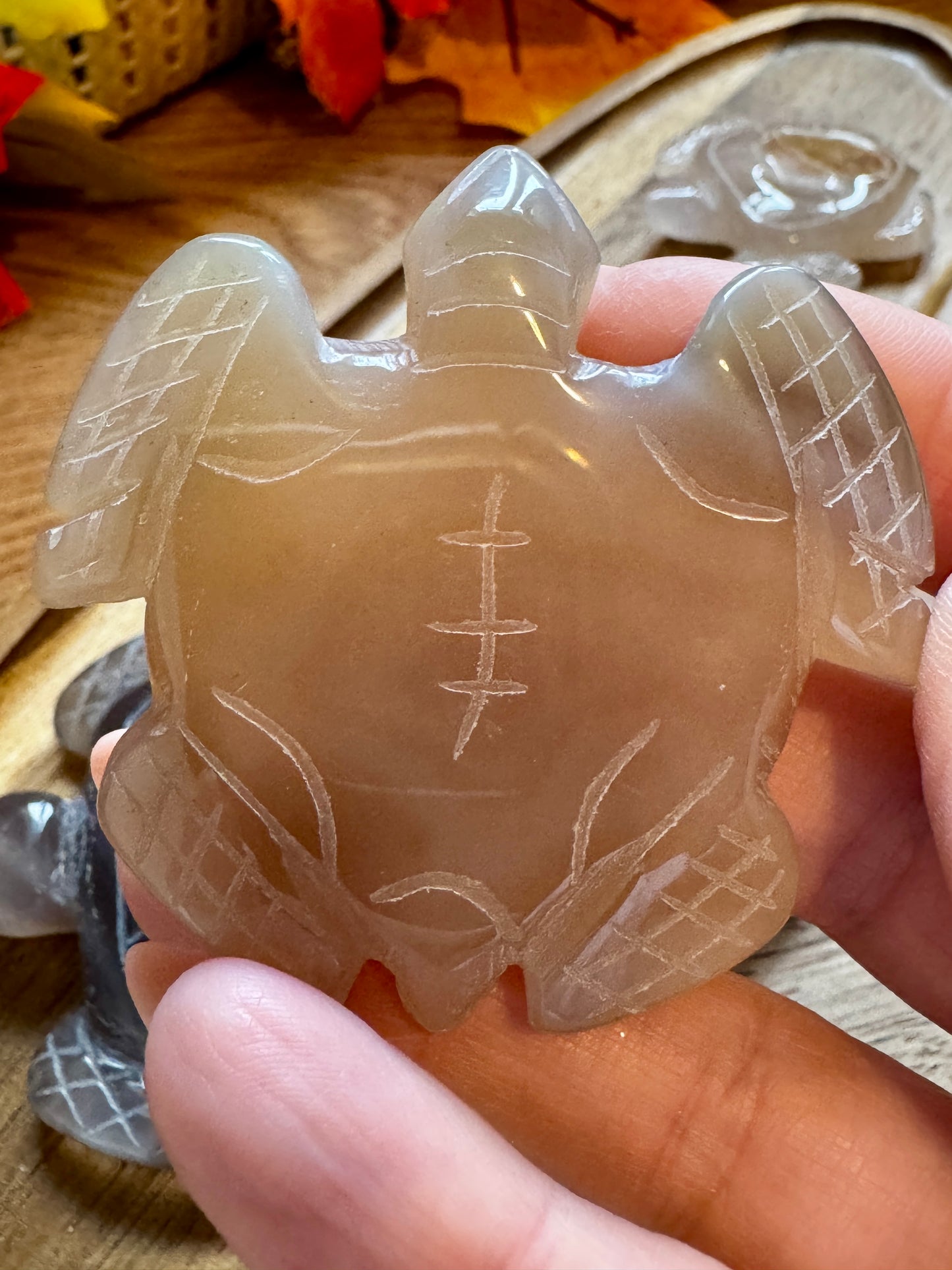 Druzy Agate Turtle Carving