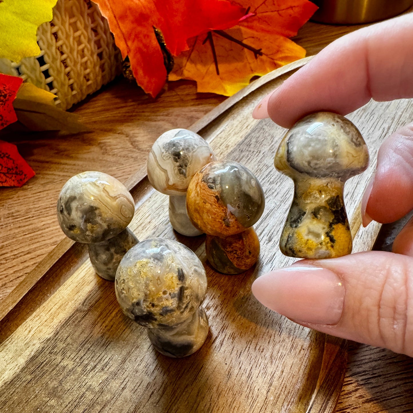 Agate Mushrooms