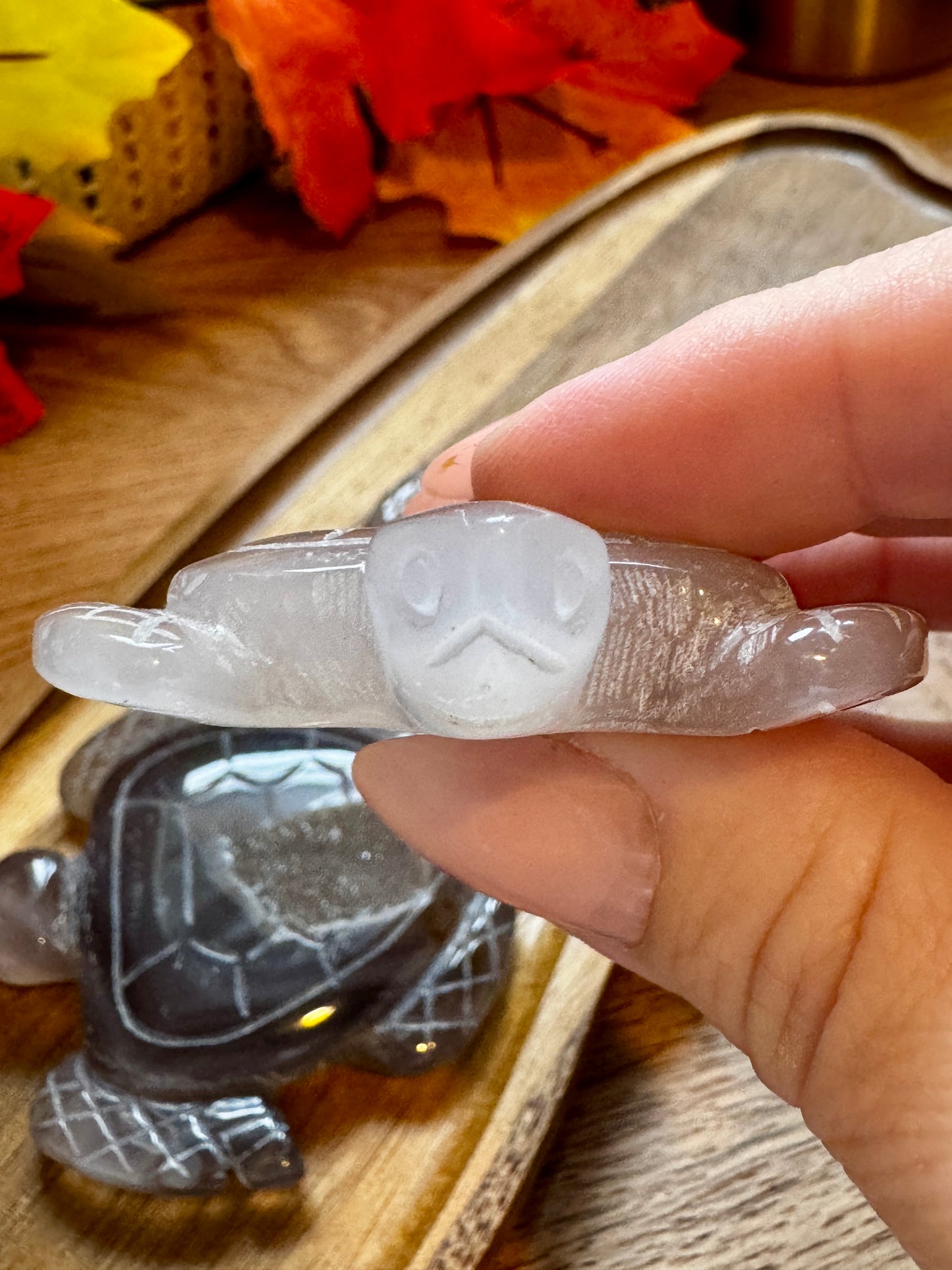 Druzy Agate Turtle Carving