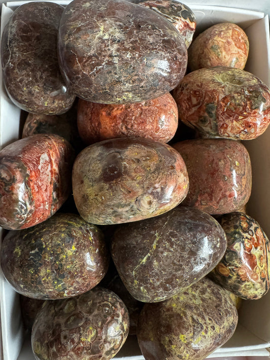 Leopardskin Jasper Tumblestone  20-30mm