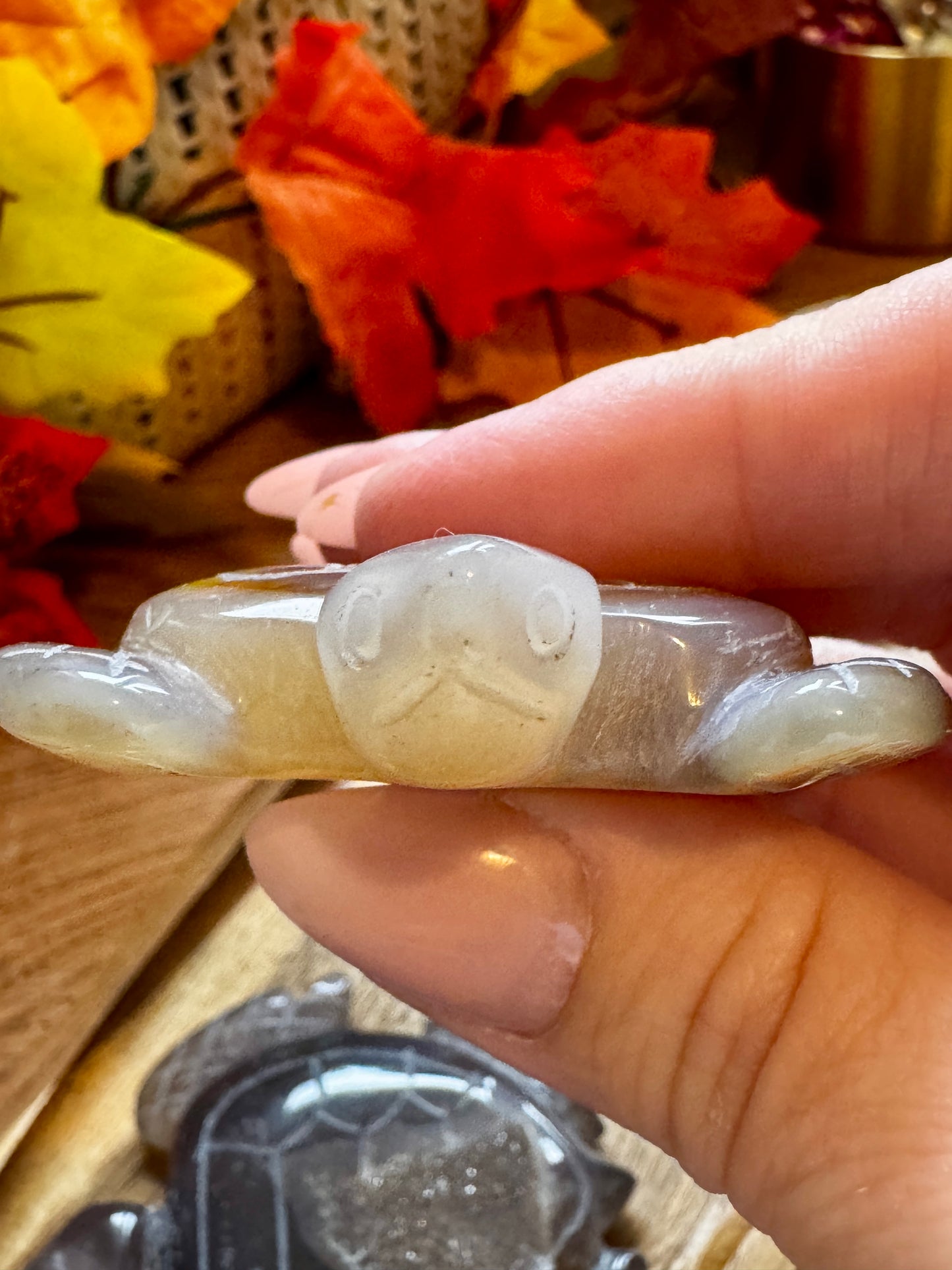 Druzy Agate Turtle Carving
