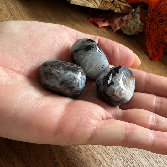 Zebra Jasper Tumblestone 20-30mm