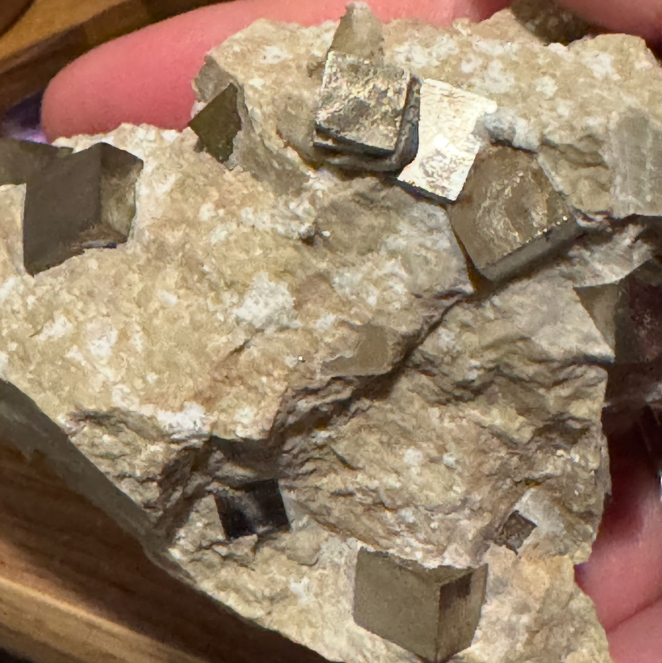 Cubic Pyrite in Matrix