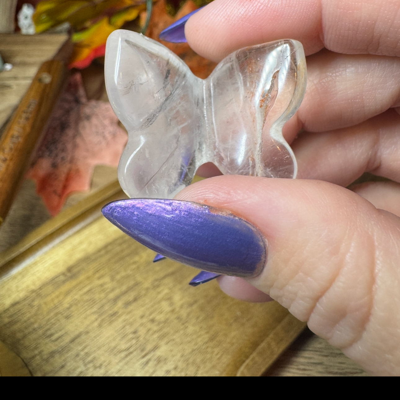 Butterfly Carvings