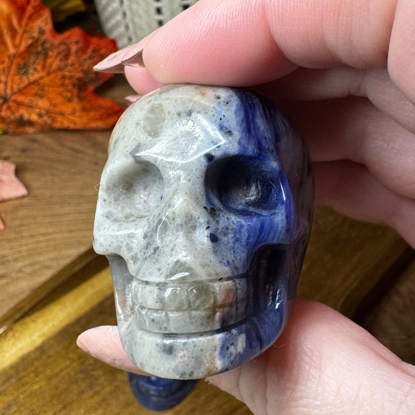 Sodalite Skull Carving